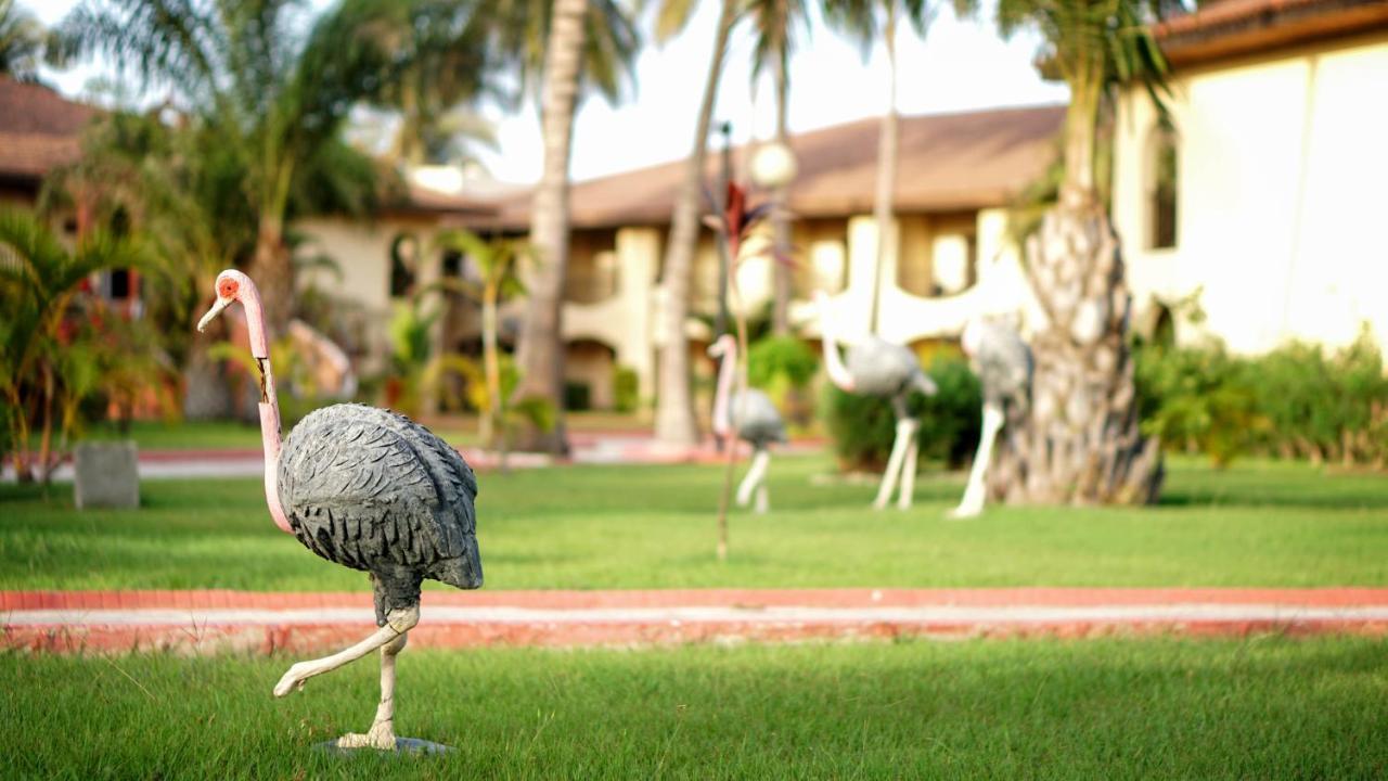 Ocean Bay Hotel & Resort Bakau Extérieur photo